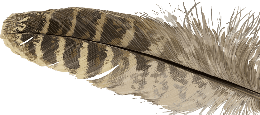 Feather